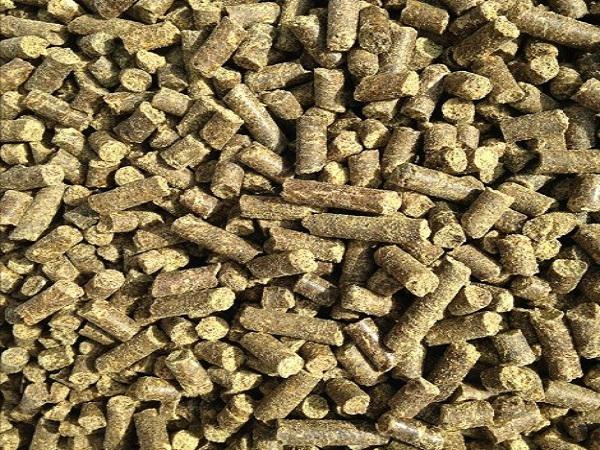 عوامل موثر بر کیفیت کنجاله پرواری