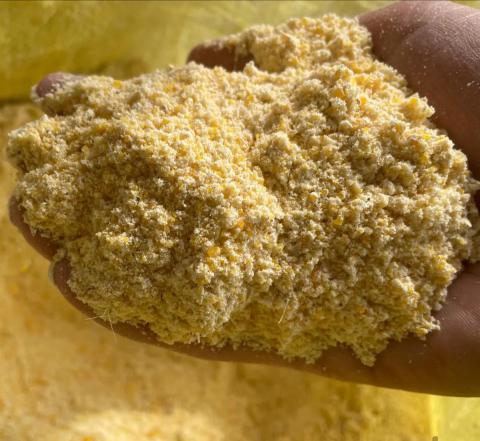 فروش مستقیم سبوس ذرت دامی