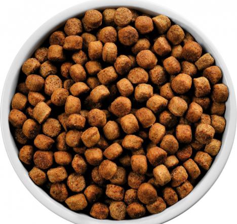 فروش بی واسطه کنجاله پرواری