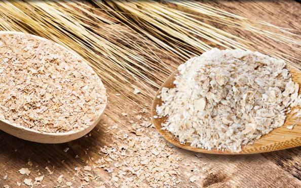 قیمت عمده سبوس جو دامی
