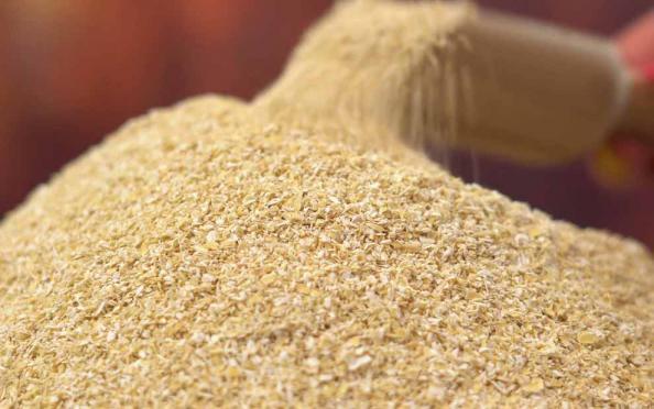 راهنمای خرید بهترین سبوس جو