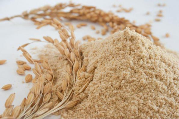 مراکز خرید کنجاله سبوس برنج
