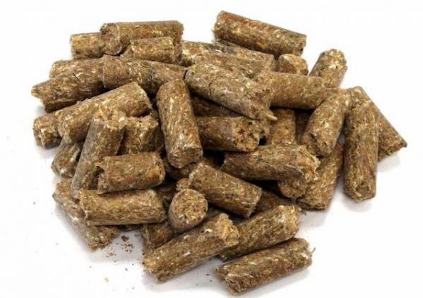 عوامل تاثیر گذار بر کیفیت کنجاله کنجد