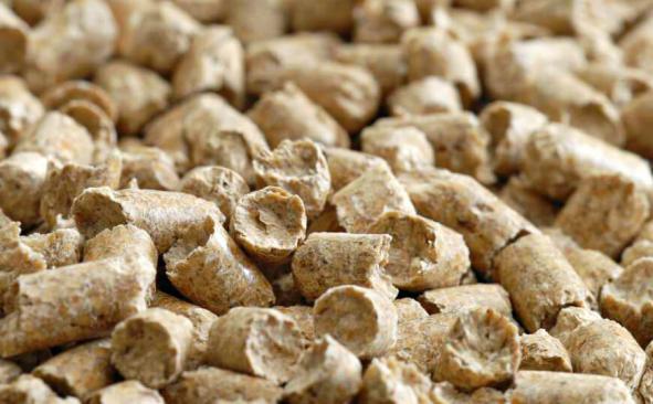 نکاتی که هنگام خرید کنجاله کلزا  باید در نظر گرفت