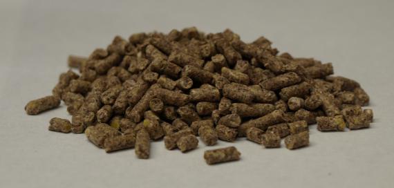 پخش عمده کنجاله کنجد اعلا در معتبرترین فروشگاه مشهد