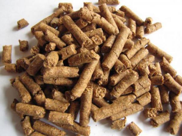 عرضه بی واسطه کنجاله کنجد با نازل ترین قیمت