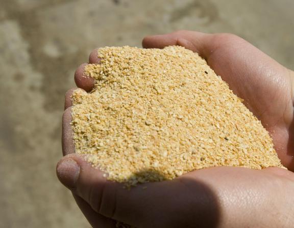 بازار پخش کنجاله سویا درجه یک در ایران