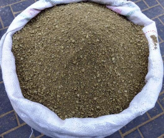 توزیع عمده کنجاله کلزا با قیمتی استثنایی