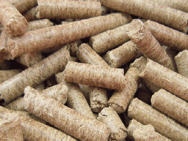 خرید کنجاله کنجد با بهترین کیفیت در بازار تهران