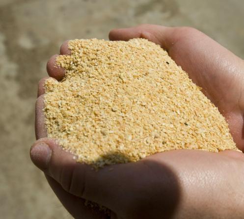 صادرات کلی کنجاله سویا طیور به کشورهای همسایه