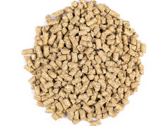 سفارش عمده کنجاله سویا اصل از بهترین فروشنده اصفهان