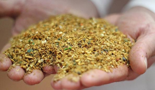 گام به گام صادرات انواع کنجاله دامی