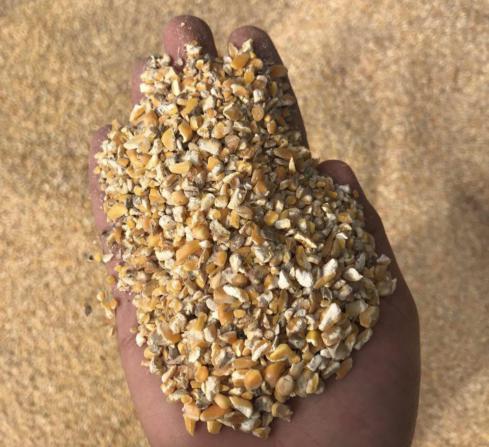 عوامل تاثیر گذار بر قیمت گذاری انواع کنجاله ذرت