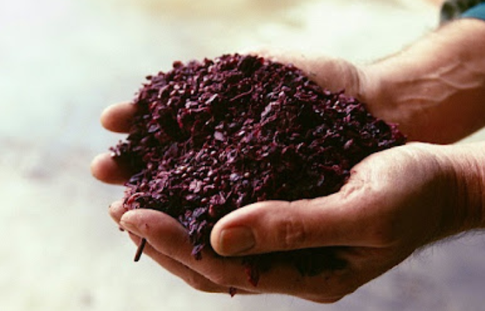 فراوانی فیبر: خصوصیت مهمی که کنجاله هسته انگور را متمایز می‌کند