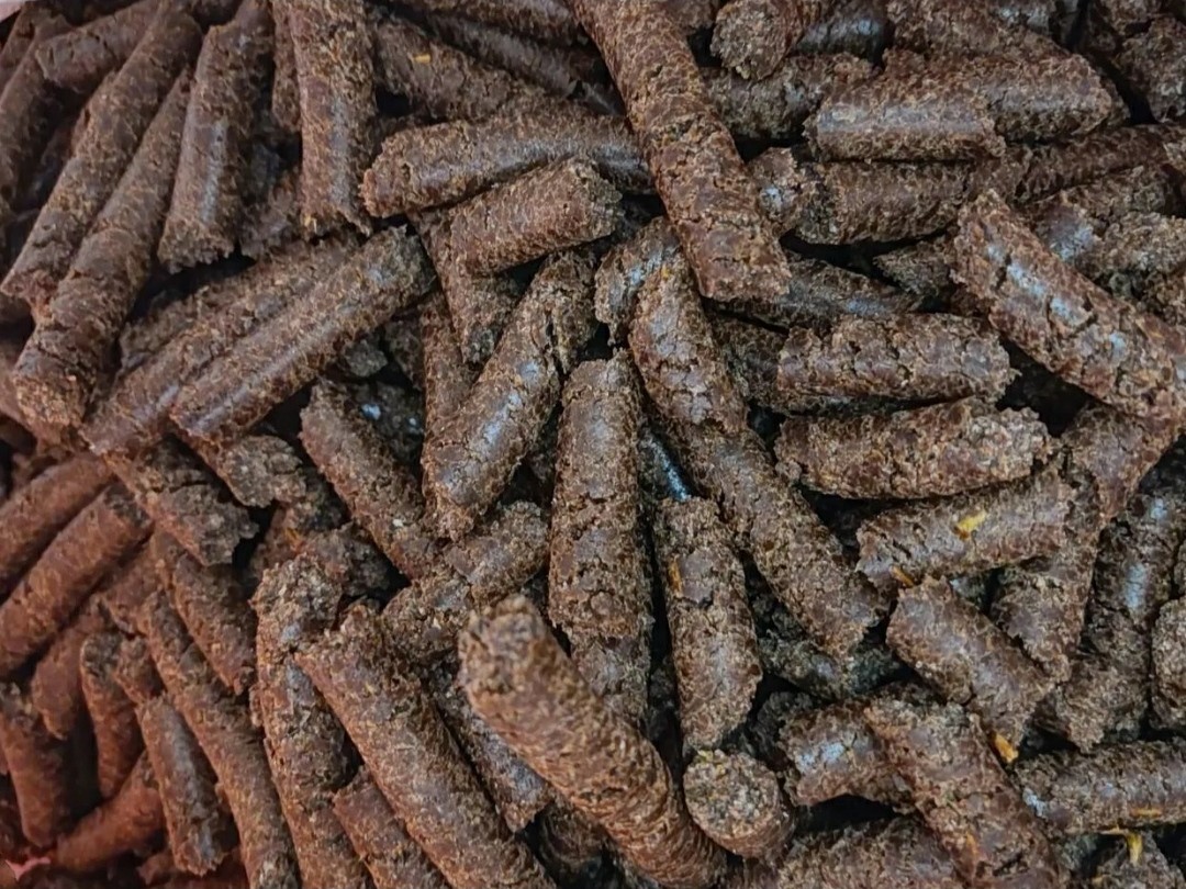 کنجاله-کنجد-برای-دام